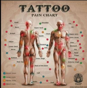 Tattoo Pain Chart - dot line tattoo studio